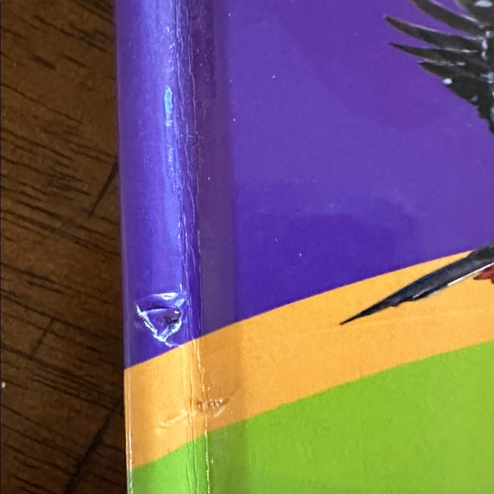 God's Big Book of Animals by Orit Kashtan - Picture 3 of 6